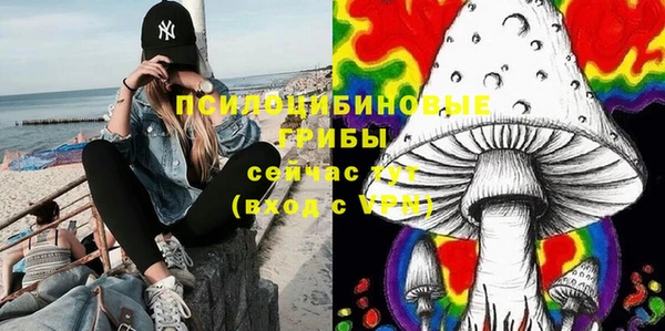 меф Нефтегорск