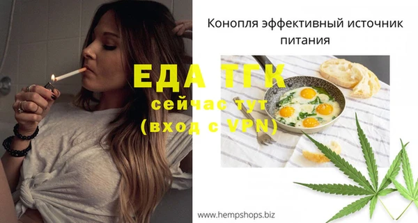 гашик Нея