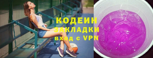 гашик Нея