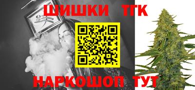 индика Будённовск