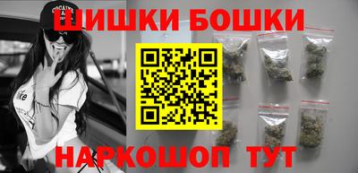 индика Будённовск