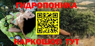 индика Будённовск